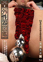 Red Hot Collection 117