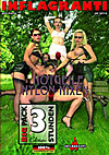 Notgeile Nylon-Nixen 2