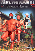 Schwarze Flamme - Silverline 25 - Landzucht