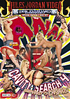 A**l Cavity Search 4 - Special Edition 2 Disc Set