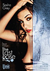 The Last Rose The Last Rose